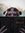 Stephanie Alburty | 2 comments