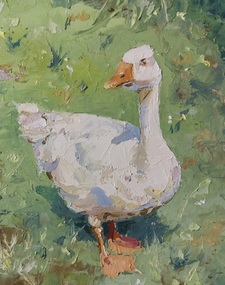 Goose