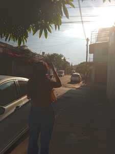 Alondra