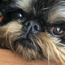 Олекса Кулак