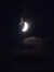 Moonlit...