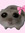 Carys M...