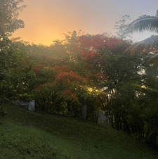 gioiaboya ‘joya’