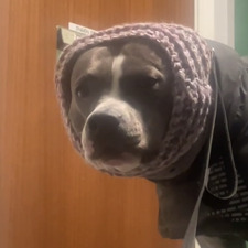 Christoffer Vanhaniemi