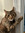 vivienne | 2 comments
