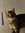 member photo member photo
