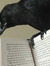 raven