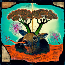 Kitsch Island