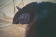 François-Xavier Ménard