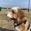 Ben
