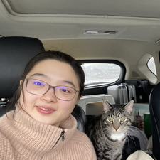 Wenjing