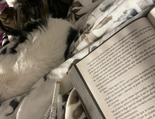 Yami . ୧ ♡ ୨ ִ ۫ ⁎