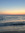 Cecilia