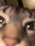 Maiyah