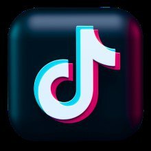 TikTok Video  Downloader