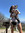 member photo member photo
