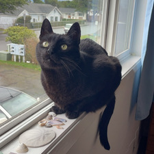 Sarah