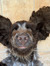 Celie H...