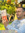Yassine Bajdou (yassinebajdou) | 3 comments