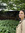 Clara | 1 comments