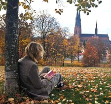 Erik Sundblom