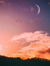 مالك