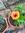 member photo member photo