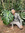 member photo member photo