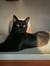 Nevena ...