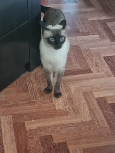Aldana