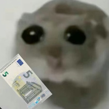 Luci