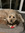 Jessica Svirsky