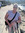 Lisa Rowe
