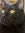 Breck_