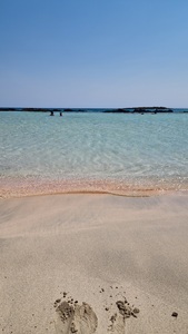 Desislava Krasimirova