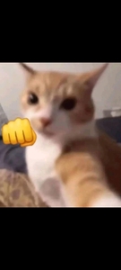 Simone