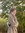 Ingalynn9