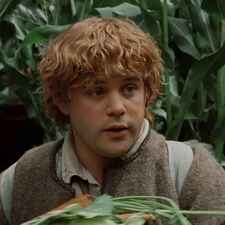 Samwise Gamgee