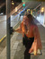 Emily J...