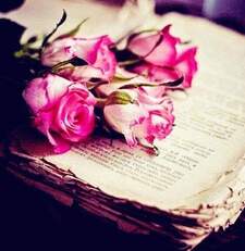 جميلة أبوغليون 