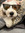 Maribeth Swindler
