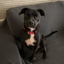 Tino