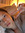 avery w | 1 comments