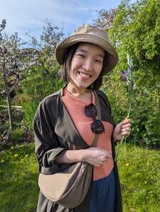 Phan Như Anh