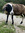 Josh Allsebrook | 2 comments