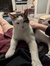 Tadhg F...