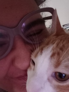 Nerea