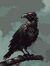 Deadly Corvid 