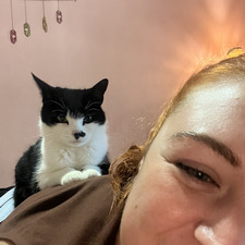 Ali
