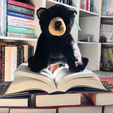 the bear’s library